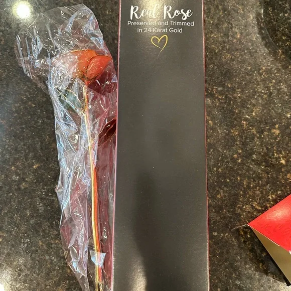 24kt gold dipped rose “Blush”